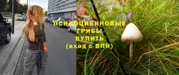 СК Вязники