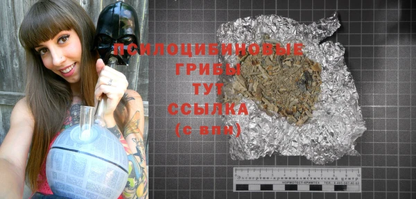 спиды Вязьма