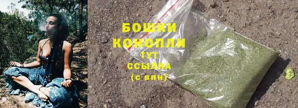 спиды Вязьма