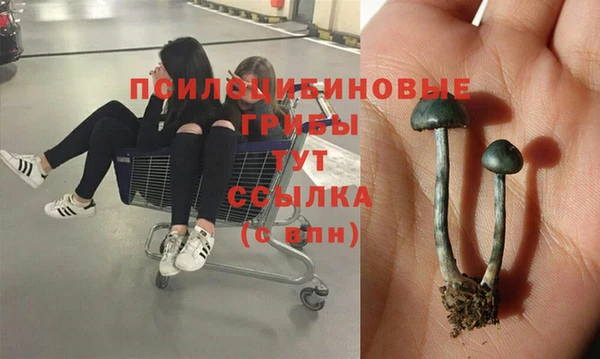 СК Вязники