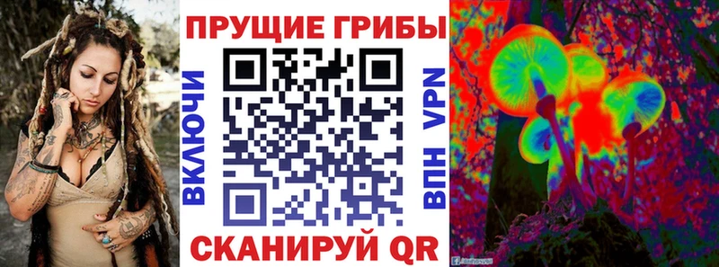 Купить  Снежногорск  Галлюциногенные грибы ЛСД 